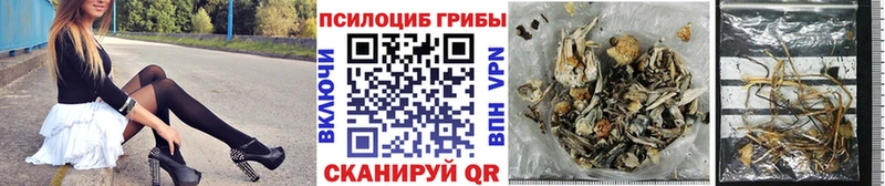 где продают   omg зеркало  Псилоцибиновые грибы мицелий  Покровск 
